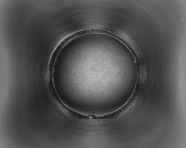 X0000088490924200705221424
