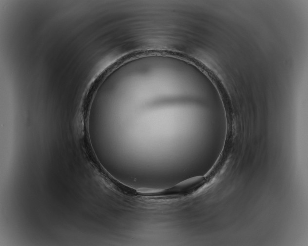 X0000088490925200705221424