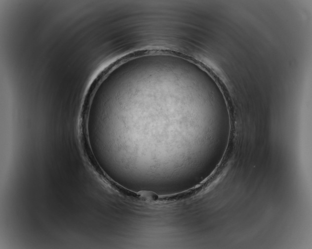 X0000088490928200705221424