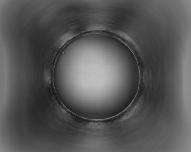X0000088490929200705221424