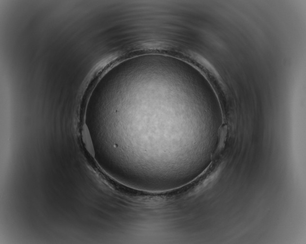 X0000088490930200705221424