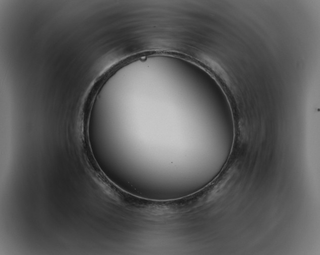 X0000088490931200705221424