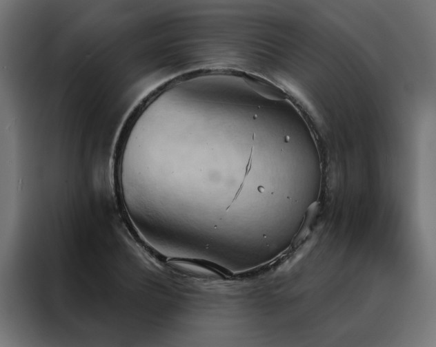 X0000088490932200705221424
