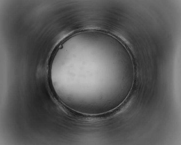 X0000088490933200705221424