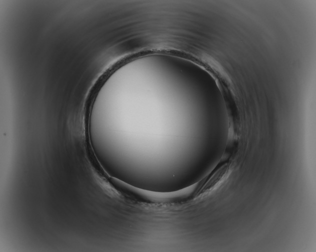 X0000088490934200705221424