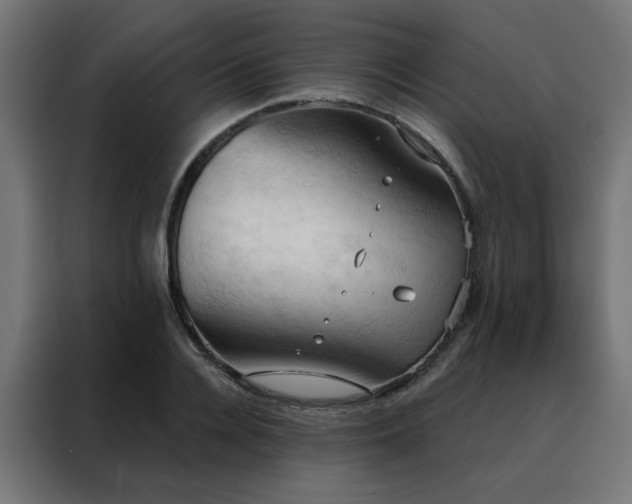 X0000088490936200705221424