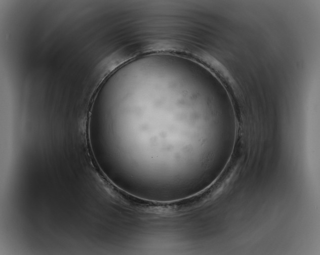 X0000088490937200705221424