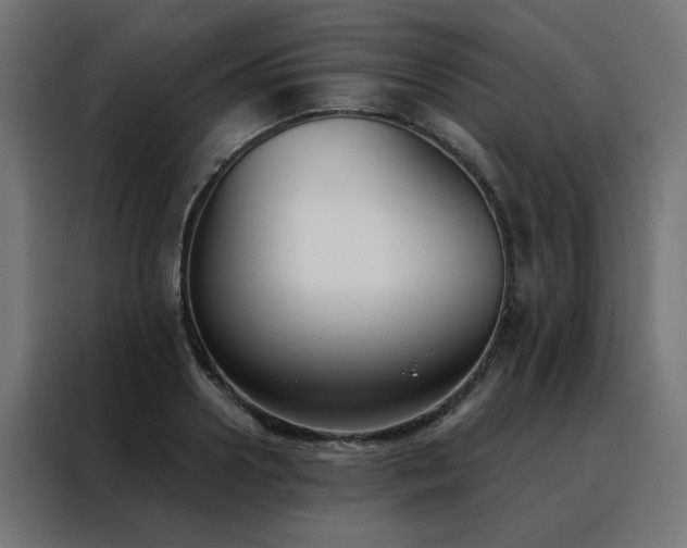 X0000088490938200705221424