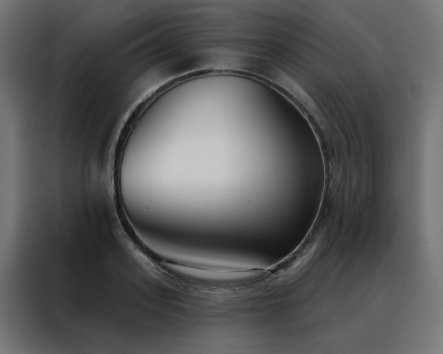X0000088490939200705221424