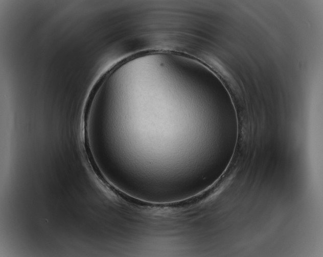 X0000088490940200705221424