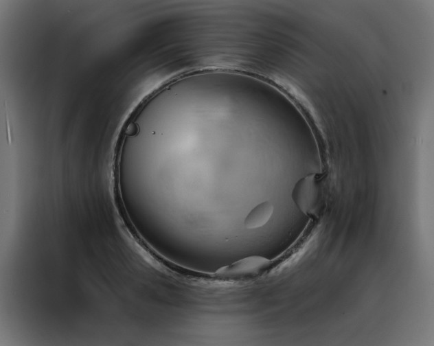 X0000088490941200705221424