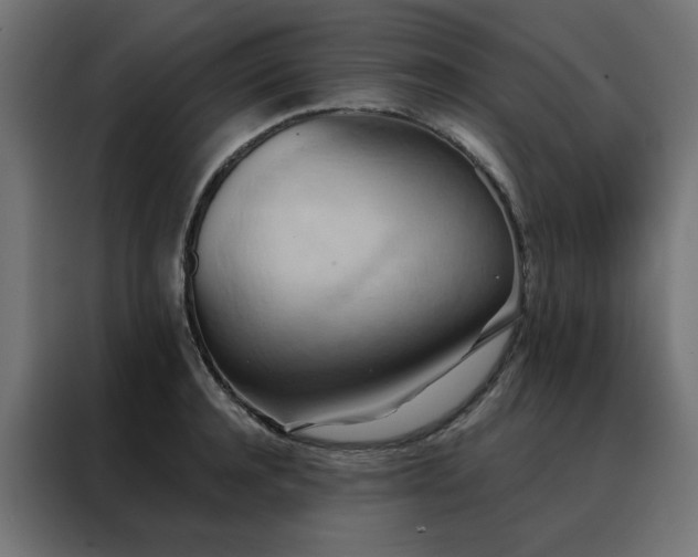 X0000088490944200705221424