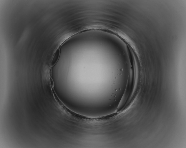 X0000088490945200705221424