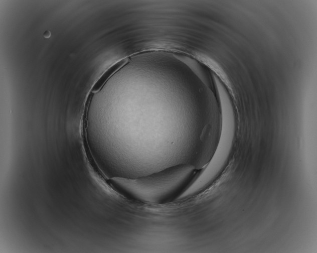X0000088490946200705221424