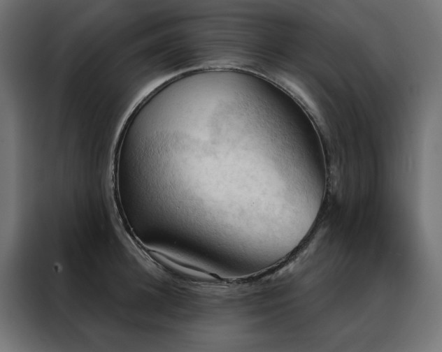 X0000088490948200705221424
