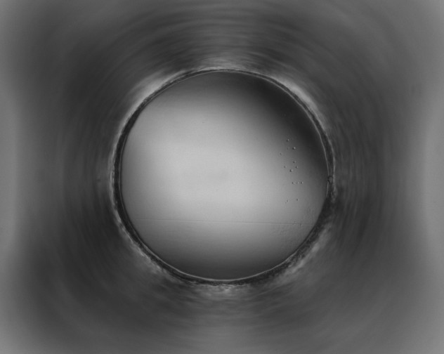 X0000088490949200705221424