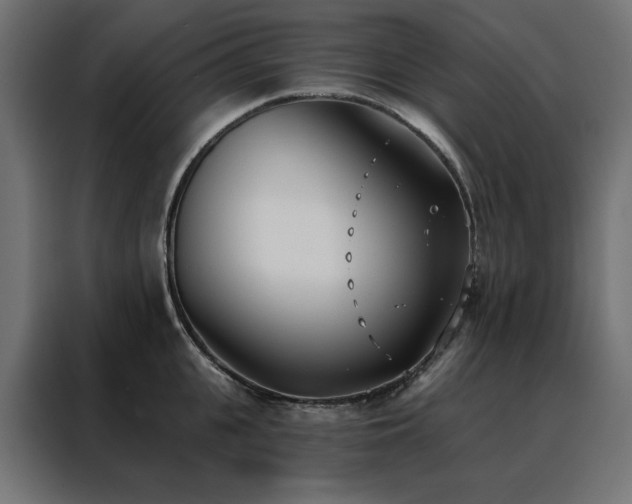 X0000088490951200705221424