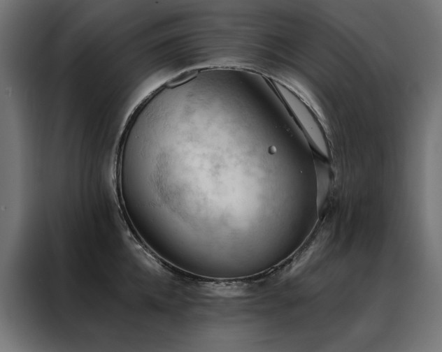 X0000088490952200705221424