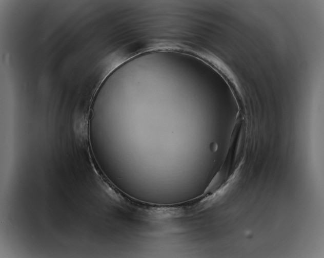 X0000088490953200705221424