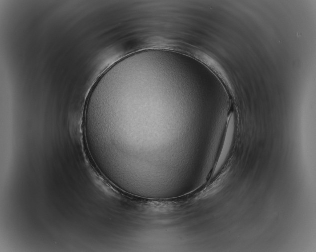 X0000088490954200705221424