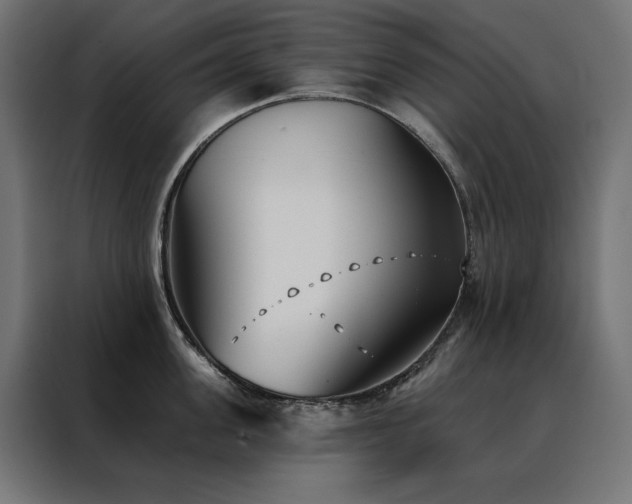 X0000088490955200705221424