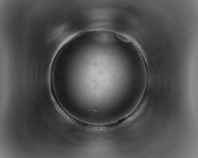 X0000088490957200705221424