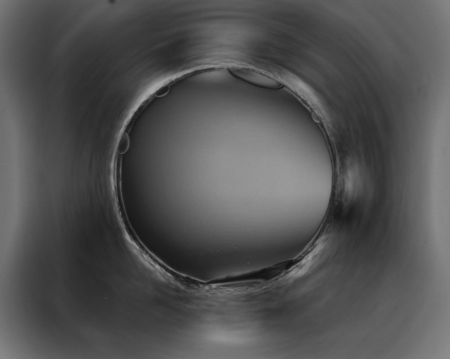 X0000088490958200705221424