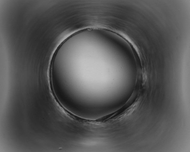 X0000088490959200705221424