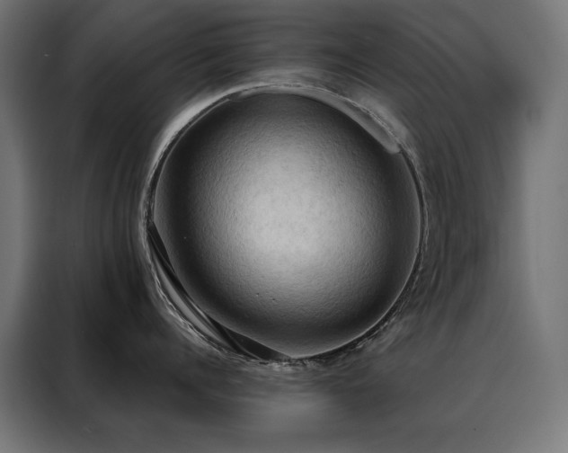 X0000088490960200705221424