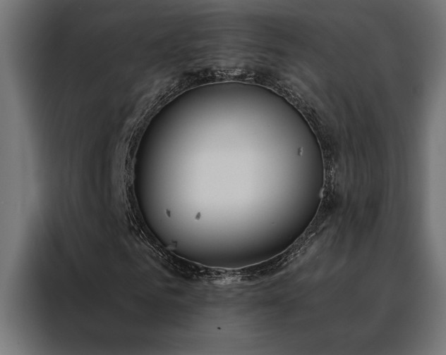 X0000088490961200705221424