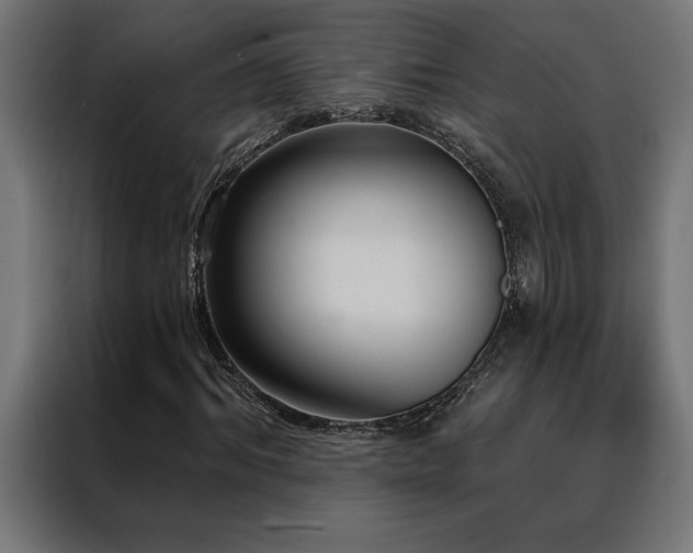 X0000088490964200705221424