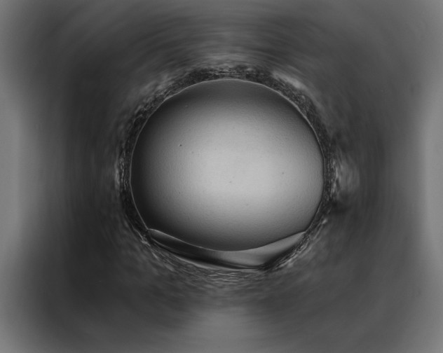 X0000088490965200705221424