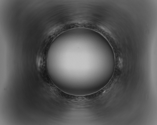 X0000088490966200705221424