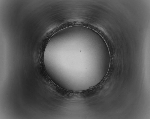X0000088490967200705221424
