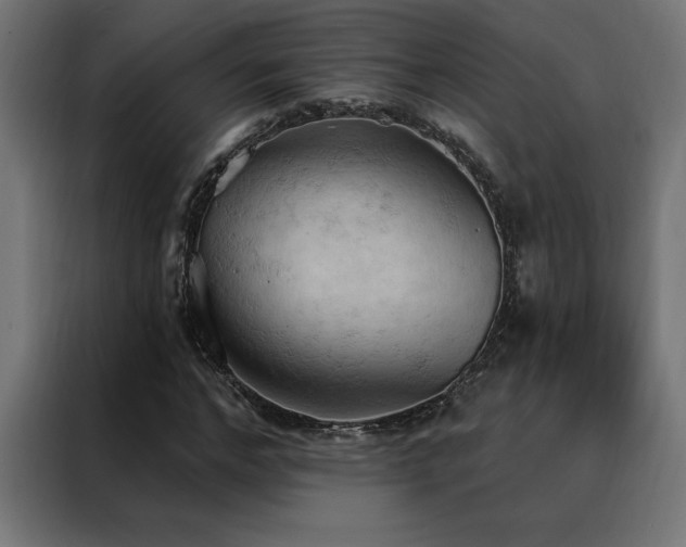 X0000088490968200705221423