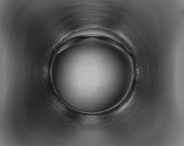 X0000088490969200705221423