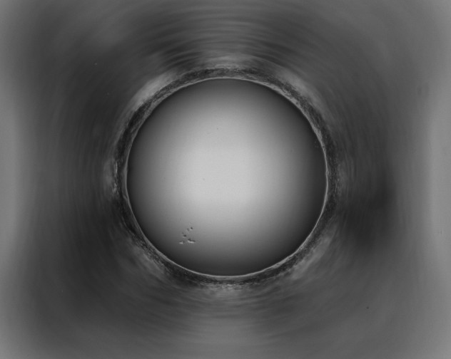 X0000088490970200705221423