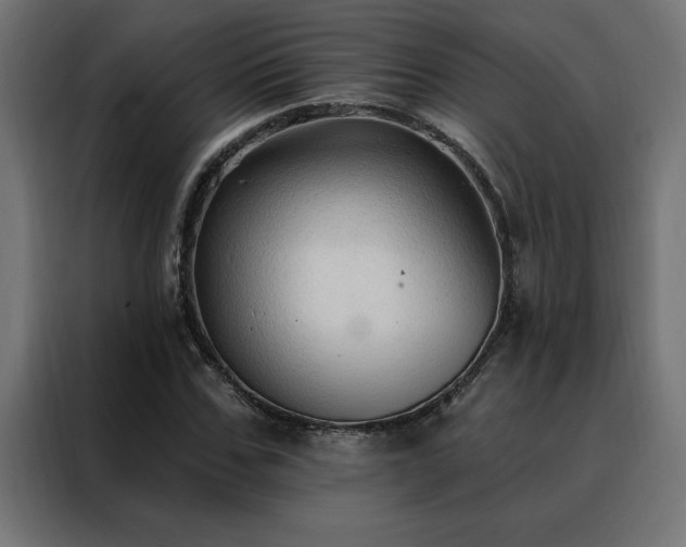 X0000088490971200705221423