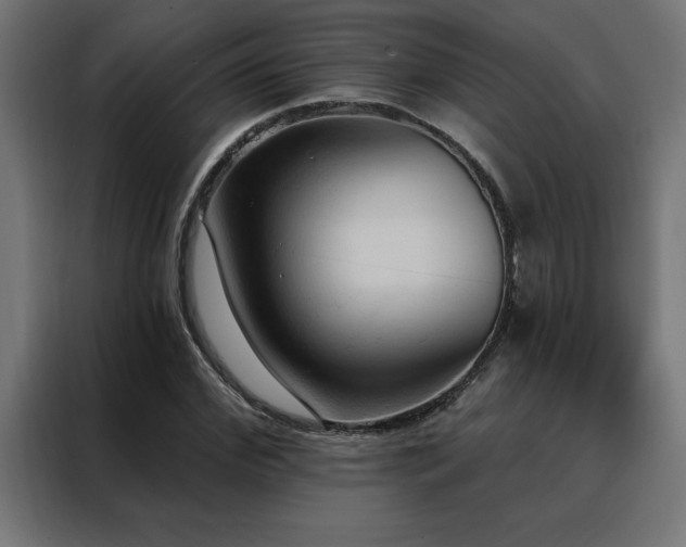 X0000088490972200705221423