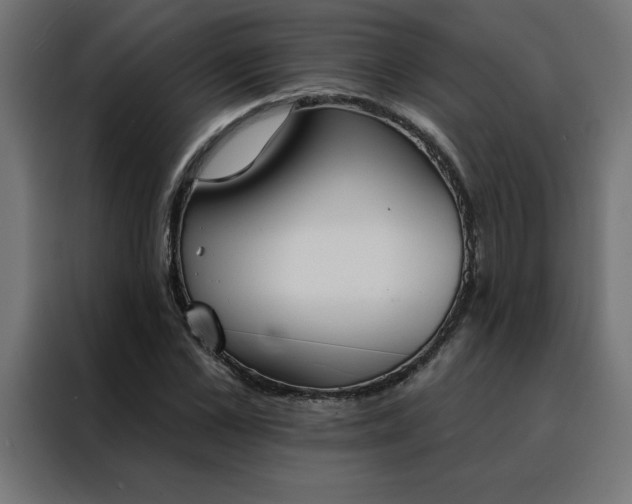 X0000088490973200705221423