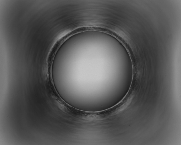 X0000088490974200705221423