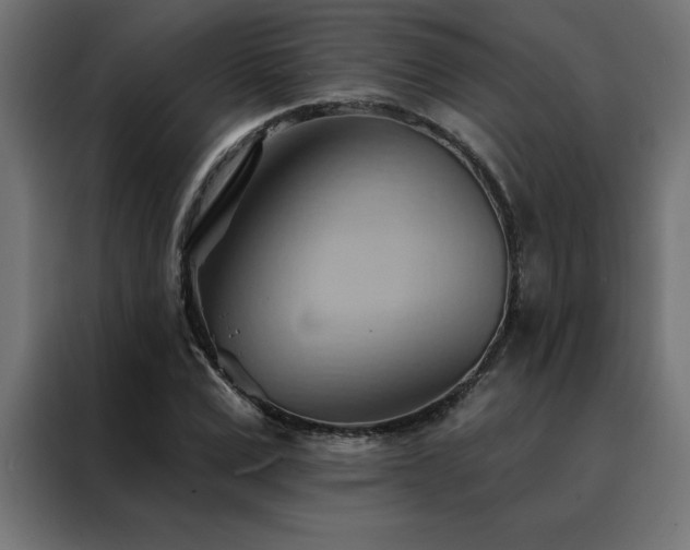 X0000088490975200705221423