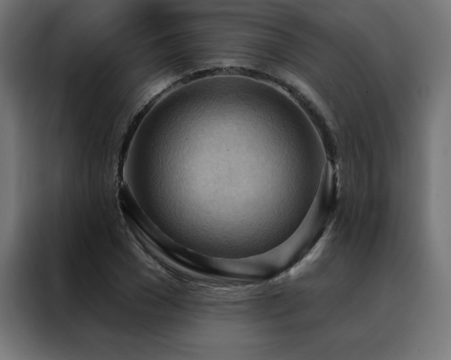 X0000088490977200705221423