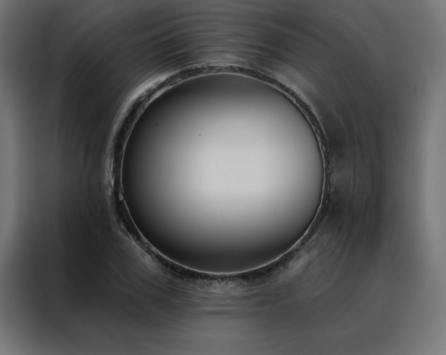 X0000088490979200705221423