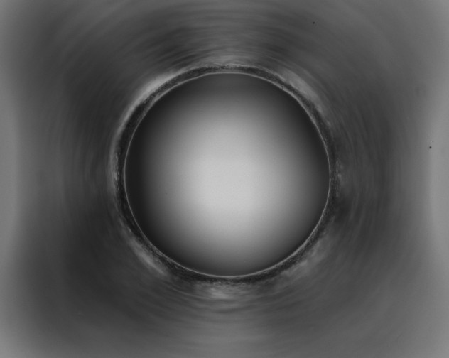 X0000088490981200705221423