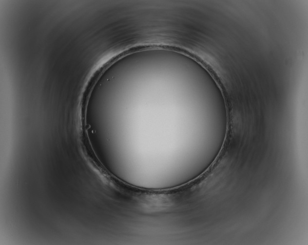 X0000088490982200705221423