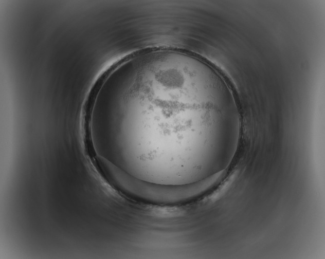 X0000088490983200705221423