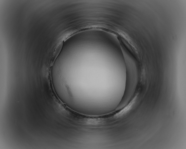 X0000088490985200705221423