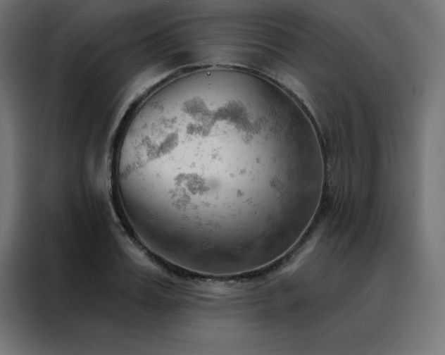X0000088490987200705221423