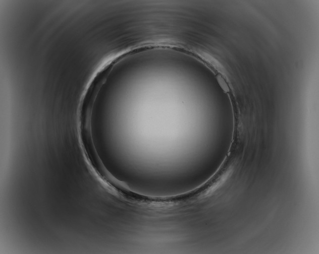 X0000088490989200705221423